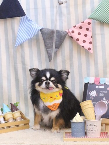 20250523ごまくん